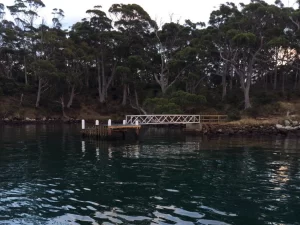 The Partridge Island Jetty, with its small wooden structure and white railings, extends over calm, dark green water, surrounded by dense trees and a rocky shore in the background.
