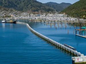 Aerial view of the construction of a 500-meter-long piled breakwall extending into deep blue waters, with cranes and construction equipment visible on-site.